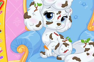 灰姑娘的南瓜事故