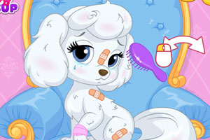 灰姑娘的南瓜事故