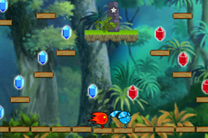 冰娃火娃森林能量