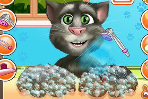 治疗汤姆猫的爪子