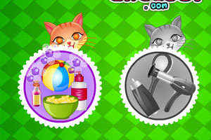 照顾可爱的小猫咪