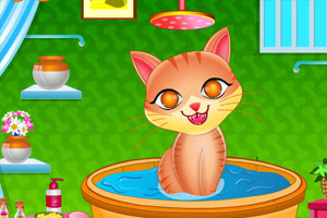 照顾可爱的小猫咪