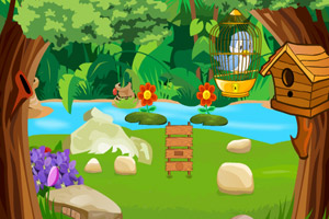 可爱的小鸟逃出鸟笼