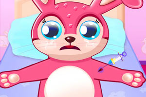 医生给兔子看病