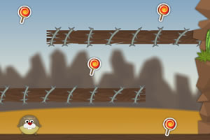 翻滚的小熊选关版