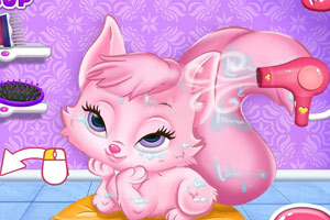 迪士尼公主的萌宠