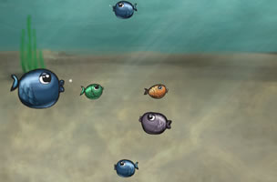 大鱼儿吃小鱼儿