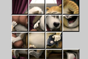 有趣的动物拼图