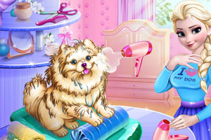 艾莎照顾小狗狗