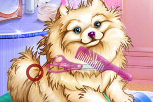 艾莎照顾小狗狗