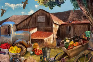 草原农场的趣事