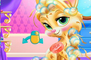 长发公主的萌宠