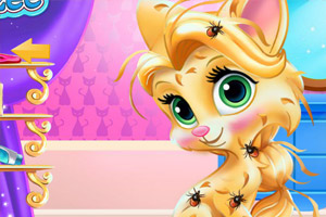 长发公主的萌宠