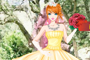 灰姑娘的童话婚礼