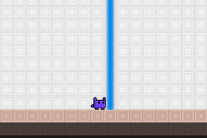 忍者小猫大冒险