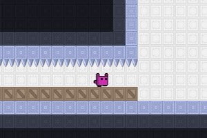 忍者小猫大冒险