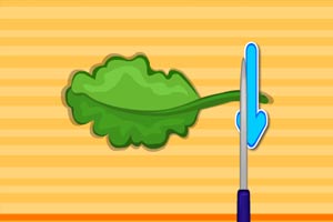 美味的蔬菜沙拉