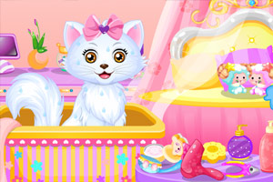 贝尔公主的小猫