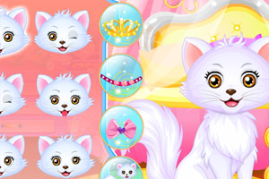 贝尔公主的小猫