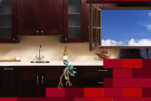 长脚章鱼大冒险