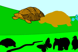 天线宝宝认动物