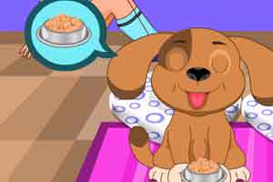 照顾你可爱的宠物