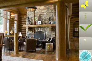 乡间别墅找东西