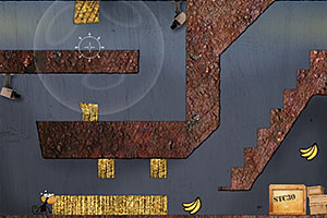 扭曲现实的猴子