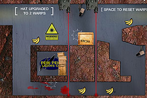 扭曲现实的猴子