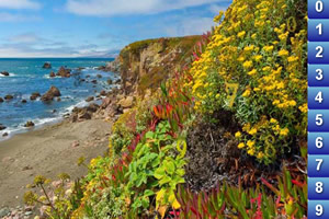 阳光森林找数字