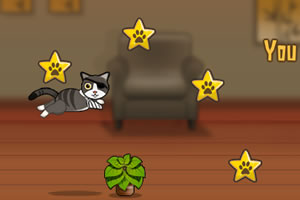 一只特立独行的猫