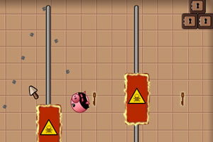 被通缉的强盗猪