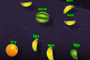 水果叮当猫打字