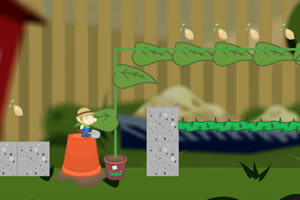 盖瑞的神秘花园