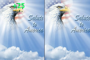 美国国庆日找不同