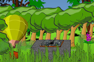 热气球冒险之旅