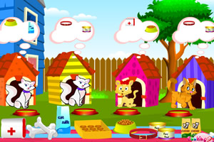 照顾可爱的猫咪