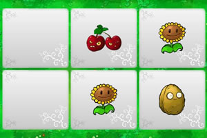 植物大战僵尸配对