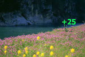 唯美风景找数字