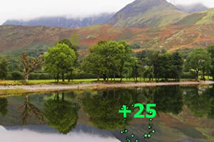 四季风景找数字