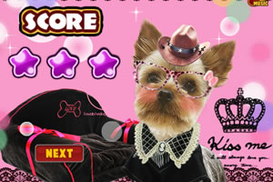 可爱狗狗卡哇伊装扮