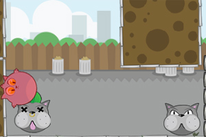 愤怒的猫咪选关版