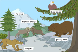 野生动物栖息地