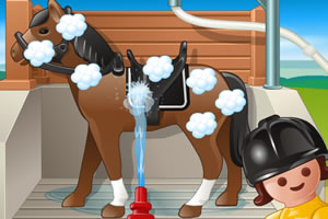 为赛马洗澡