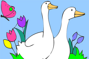 两只小天鹅