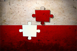 波兰战旗拼图