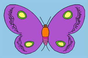 给蝴蝶上色