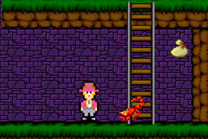 魔法森林大逃亡