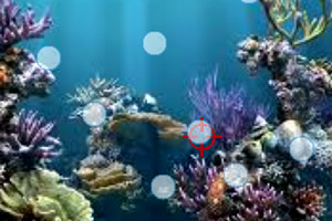 消灭泡泡极限挑战