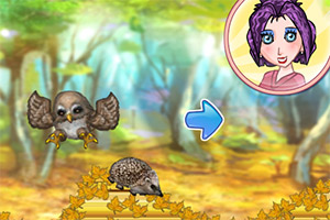 照顾小刺猬中文版